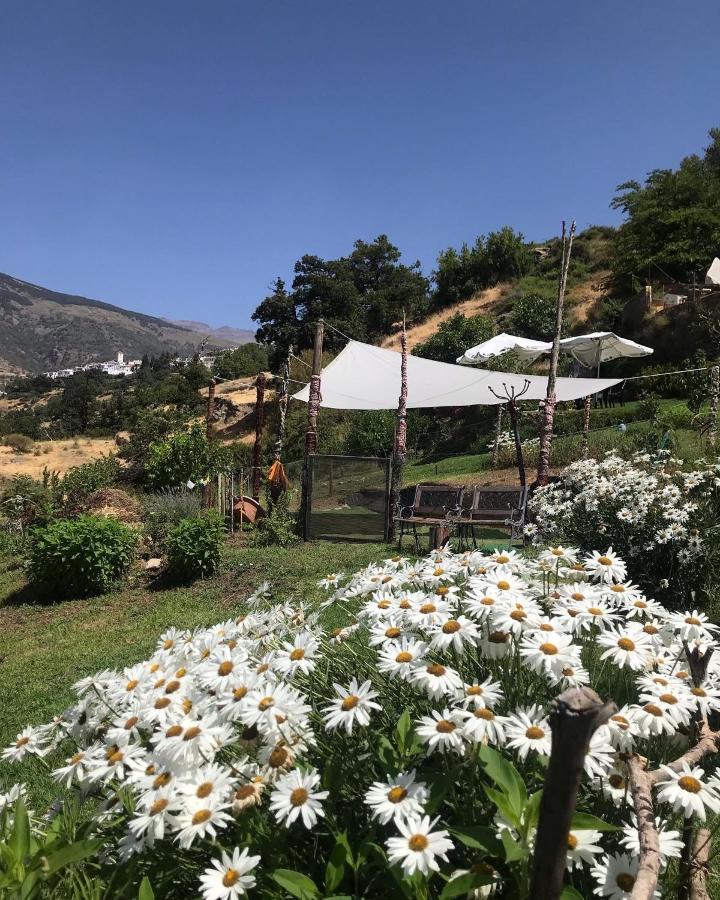 "Casa Ibero" Bubion, Alojamiento Turistico Rural エクステリア 写真