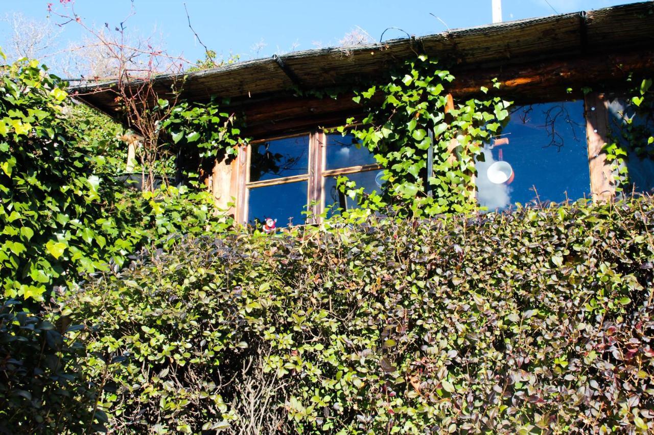 "Casa Ibero" Bubion, Alojamiento Turistico Rural エクステリア 写真