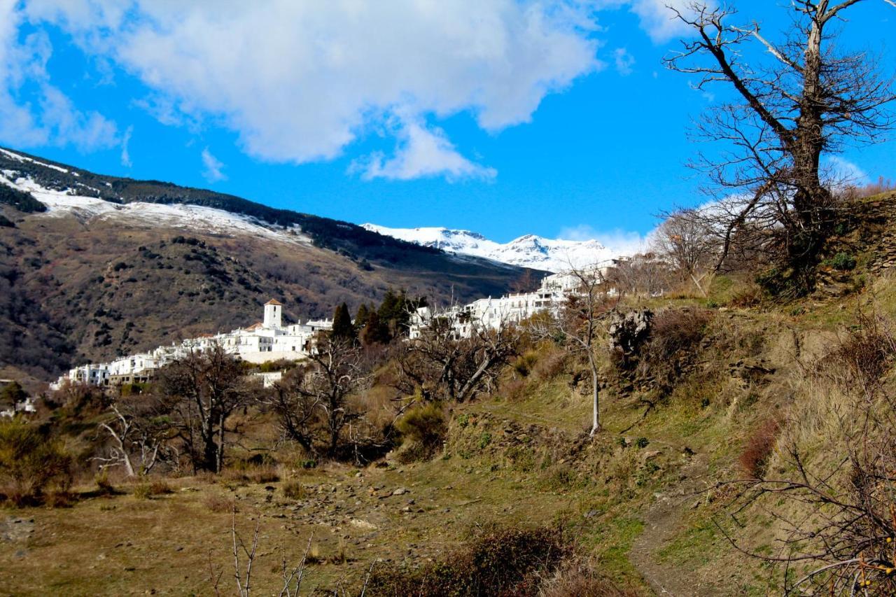 "Casa Ibero" Bubion, Alojamiento Turistico Rural エクステリア 写真