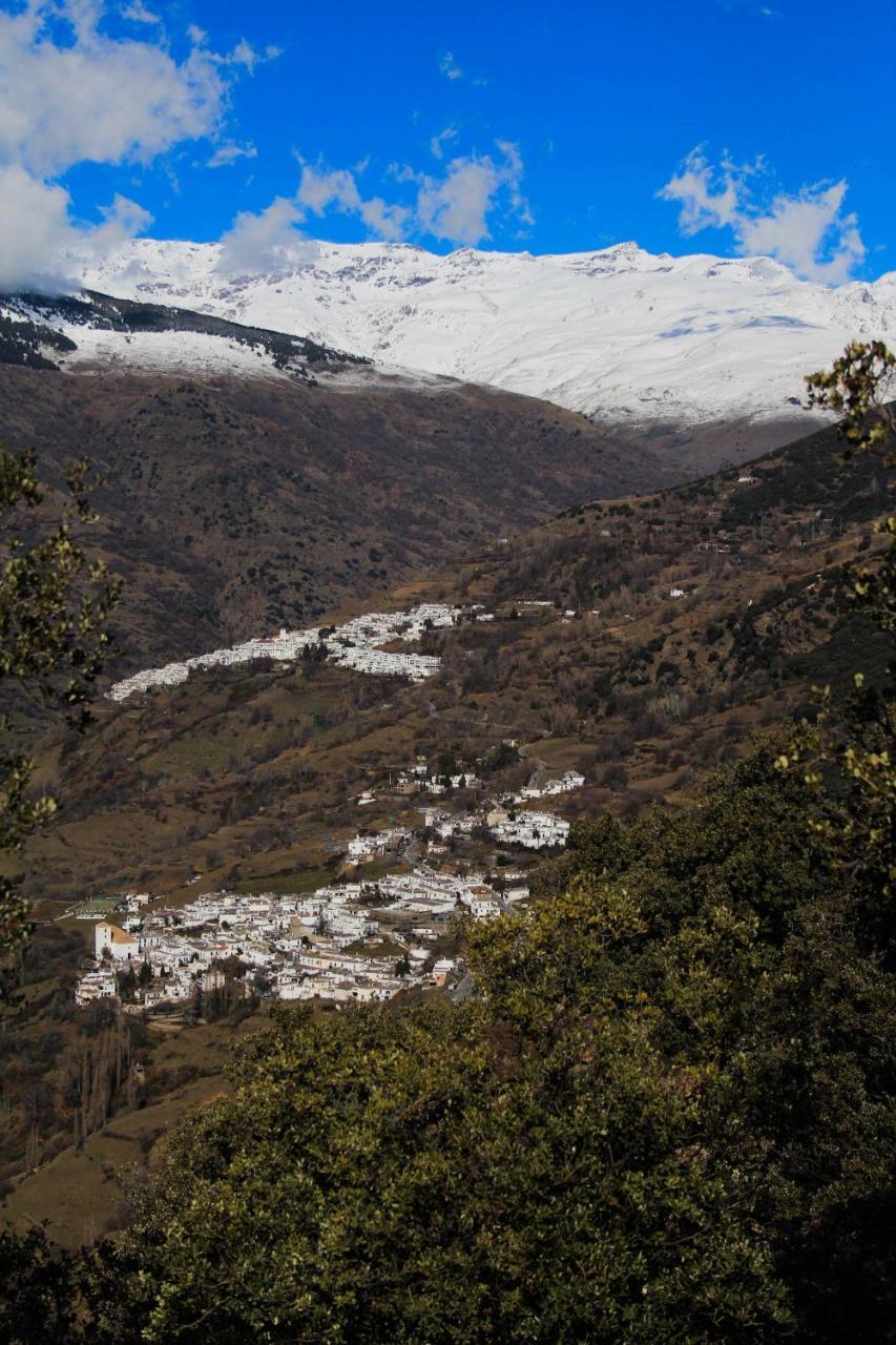 "Casa Ibero" Bubion, Alojamiento Turistico Rural エクステリア 写真